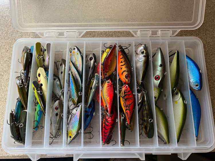 Latest Tackle Purchase Thread (Bait Monkey Victim Support Group) - Page 519  - Fishing Tackle - Bass Fishing Forums