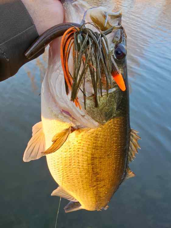 Red/Orange Baits - Fishing Tackle - Bass Fishing Forums