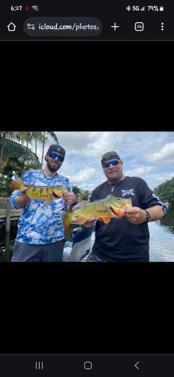 Peacock bass - Other Fish Species - Bass Fishing Forums