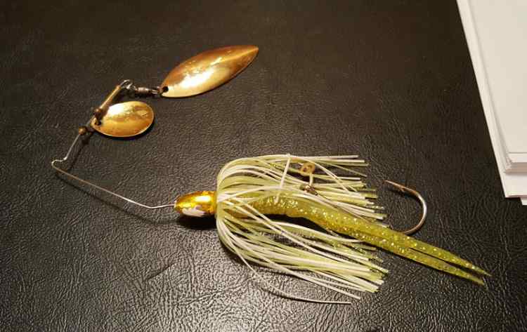 What's Your Most Productive Spinnerbait Color? - Fishing Tackle - Bass  Fishing Forums