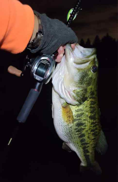 Bates Hundo - Fishing Rods, Reels, Line, and Knots - Bass Fishing Forums