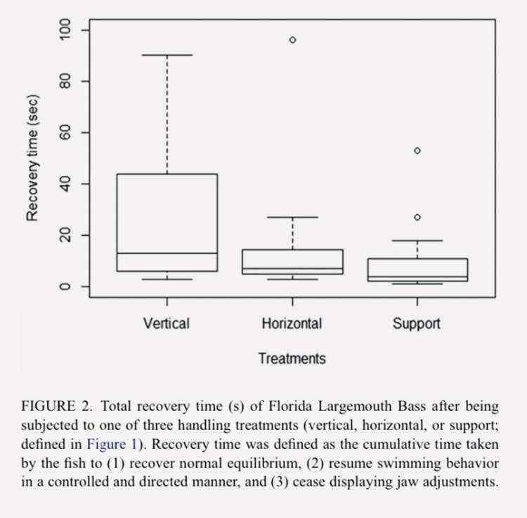 Looking To Improve My Bass Weighing Process ~ - General Bass Fishing 