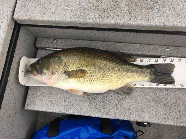 Second best PB - Fishing Reports - Bass Fishing Forums