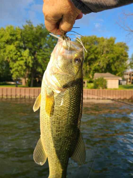 New Bait Idea - Fishing Tackle - Bass Fishing Forums