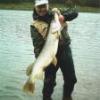 bassfisher2