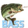 bass013