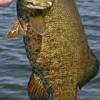 Addicted to Smallies