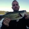 Yum Dingers - Fishing Tackle - Bass Fishing Forums