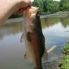 NC bassin