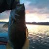 Convincing The Misses That My Fishing Addiction Is A Good Thing? Help -  General Bass Fishing Forum - Bass Fishing Forums