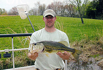 A good bass to cull. The bass weighs several pounds, but its condition is lower than what we expect.