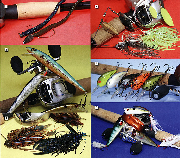 6 Must Have Bass lures for Sea Fishing 