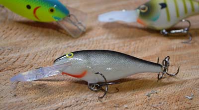 Plastic crankbaits catch their share of February bass, but wooden ones, especially those made of balsa, are better. They are subtle, mimicking the baitfish these bass want, and their increased buoyancy helps them navigate cover. Photo by Pete M. Anderson