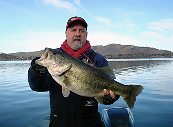 Big Swimbaits Catch Bass Everywhere  The Ultimate Bass Fishing Resource  Guide® LLC