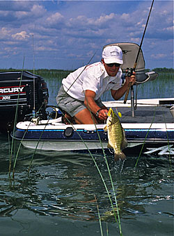 Once you determine the make, model and length of boat you want, you can decide if you want a new or used boat.