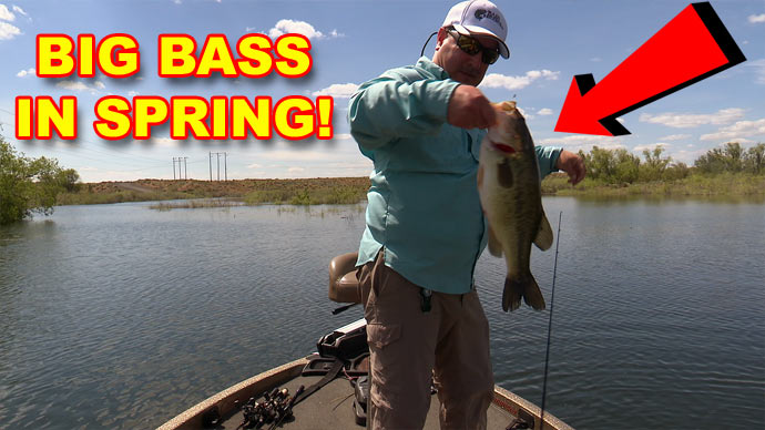 How To Catch Big Bass In Spring Video The Ultimate Bass Fishing