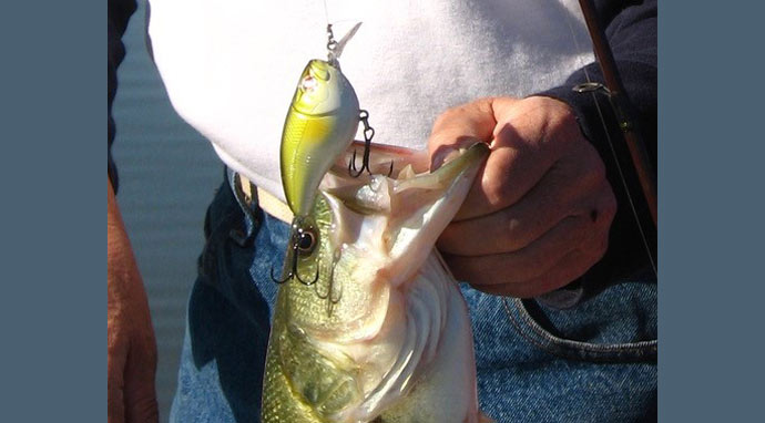Baitcast Fishing Tackle and Large, Heavy Lure Plug Stock Image