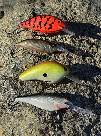 Choose The Best Diving Crankbaits For Cold Water
