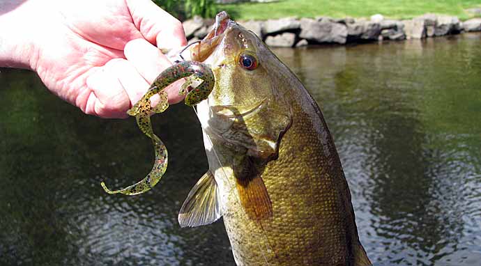 Bass Fishing During the Summer to Fall Transition – MONSTERBASS
