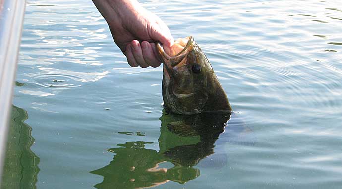 Early Spring Feeder Fishing Tips 