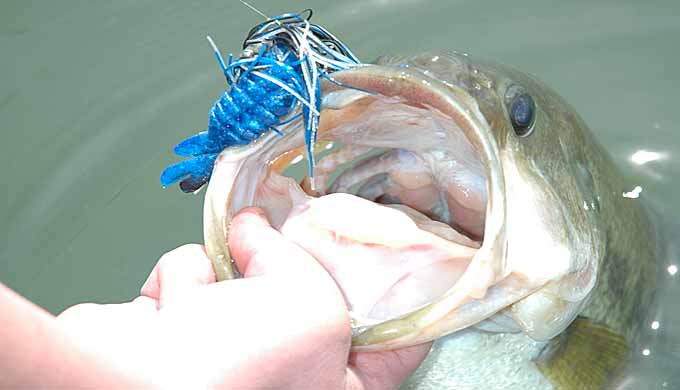 How to tie a punching or flipping rig for bass 