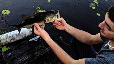 Catching a few bass early on, this pond looked like a typical bass-crowded pond. 