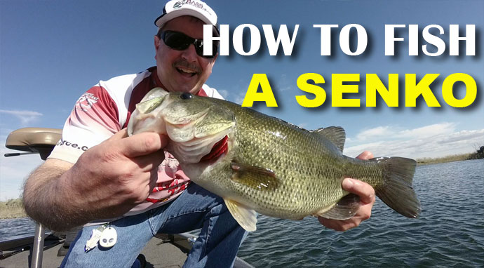 How the heck do I fish a senko!? : r/bassfishing
