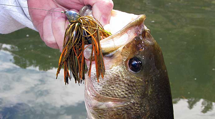 How To Handle Pressured Lakes  The Ultimate Bass Fishing Resource