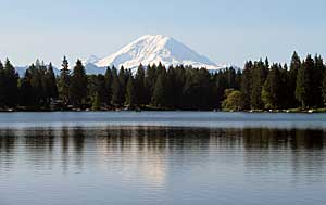 Ponds and small lakes