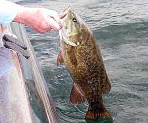 Knot a Problem  The Ultimate Bass Fishing Resource Guide® LLC