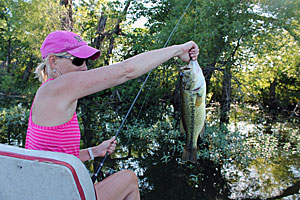 Anglers can be surprised by the size of bass that inhabit small waters.