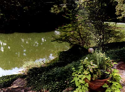 Check visibility depth and see your water color. This pond has a good plankton bloom for springtime.