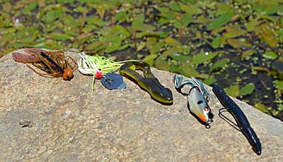 hen it comes to presentations for matted aquatic vegetation, you have three choices — around, over, or into. So, rig lures that do one of those, including bladed jigs, frogs and toads, jigs, and Texas-rigged soft-plastic worms. Photo by Pete M. Anderson