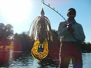 Siebert Jig with a Rage Craw Trailer