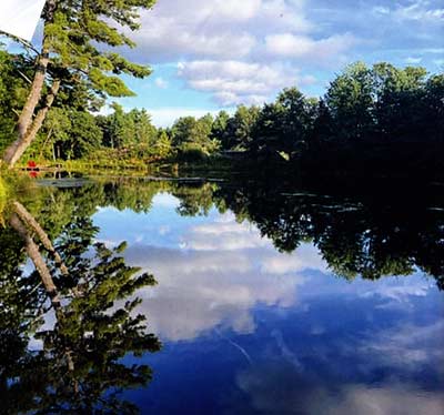 Wisconsin brook trout pond is more pristine after consistent nanobubble treatment