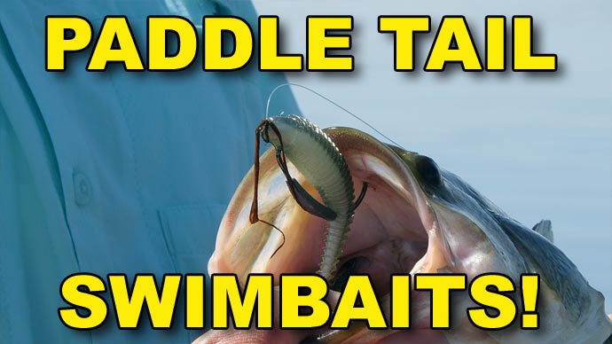Paddle Tail Swimbaits, Bass Fishing, Video