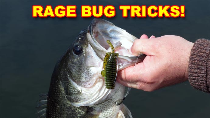 Rage Bug Tips That Work!, Video