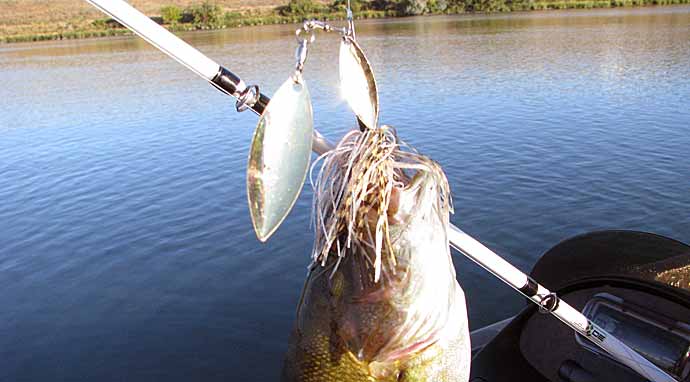Fishing Spinner Bait Making Kit - DIY Buzzbait Colorado Blades