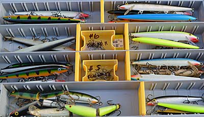 Organization is key to on-the-water efficiency. Group your hard baits by type, size, and color in a manner that makes sense to you and meets your needs. Place the same size, style, and color of soft-plastic lures in resealable plastic bags. Photo by Pete M. Anderson