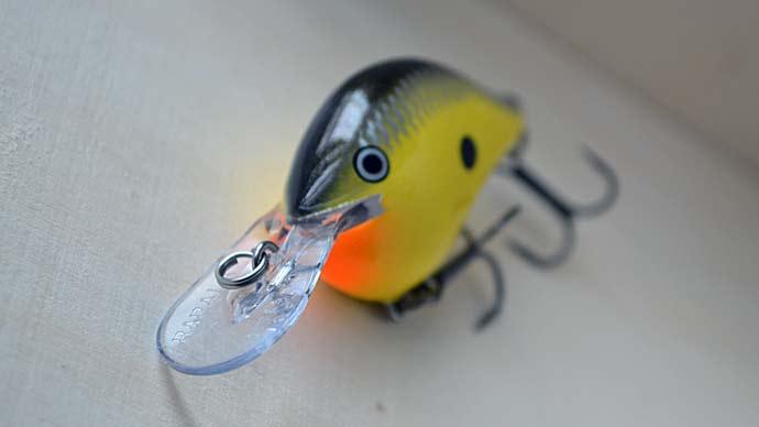 Catch More Bass for Less: 10 Budget Lures 