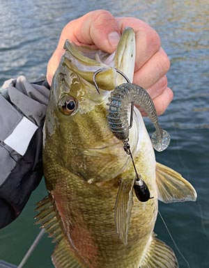 Catch more bass anywhere in the water column with VMC® Tokyo Rigs
