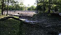 A view from a creek channel, looking toward the dam, while renovation is in place. Notice the island, preserved during renovation.