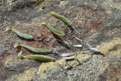 Fish These Five Lures In September