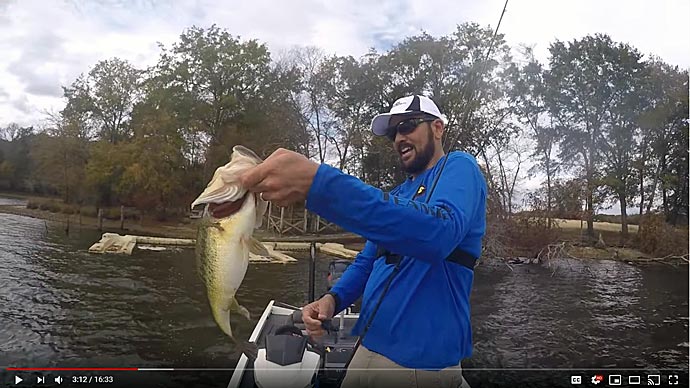 Top 3 Jigs for Shallow Fall Bass Fishing, Video
