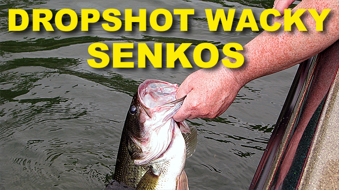 Wacky Rig - Dropshot Senko | How To Fish