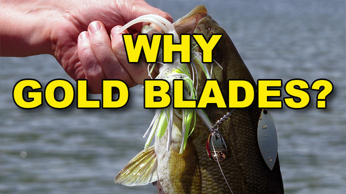 https://www.bassresource.com/files/bass-fishing-img/Why-Gold-Bladed-Spinnerbaits.jpg