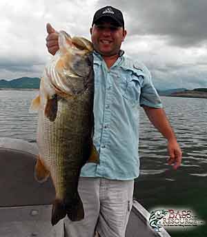 The Night Shift  The Ultimate Bass Fishing Resource Guide® LLC