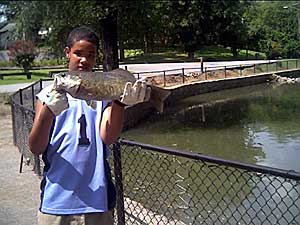 Urban bass fishing