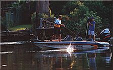 Shallow water bass fishing