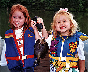 Giant Bluegill